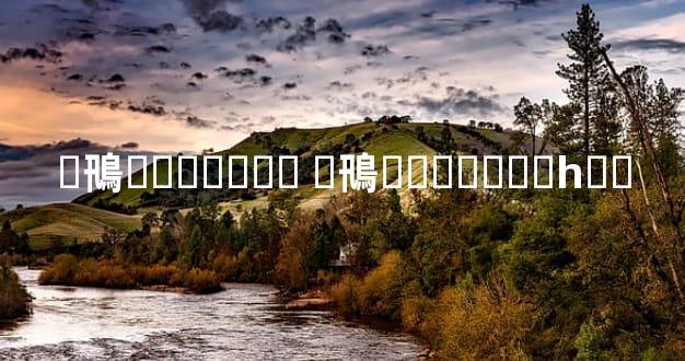 �鳵�⳵���۱� �鳵�⳵����Ǯһ��